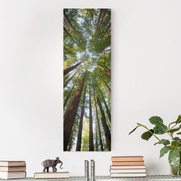 Impression sur toile - Sequoia Tree Tops