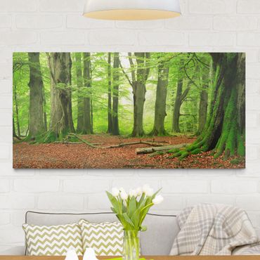 Impression sur toile - Mighty Beech Trees