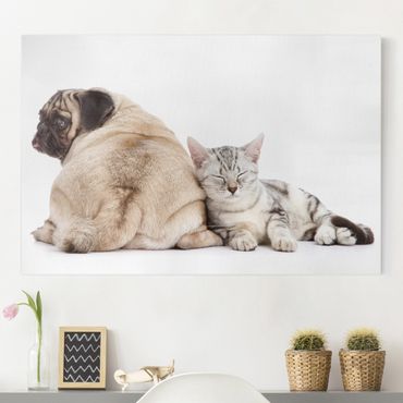 Impression sur toile - Puggy And Kitten