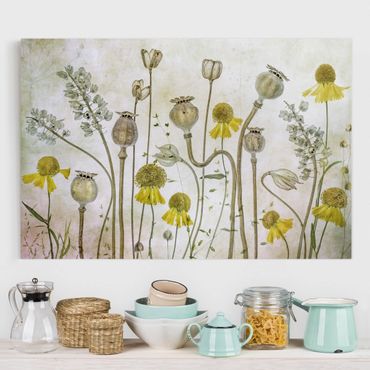 Impression sur toile - Poppy And Helenium