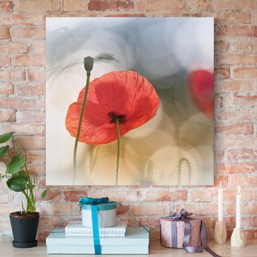 Impression sur toile - Poppies In The Morning