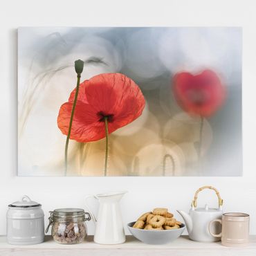 Impression sur toile - Poppies In The Morning