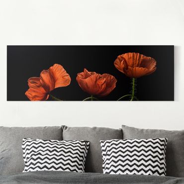 Impression sur toile - Poppies At Midnight