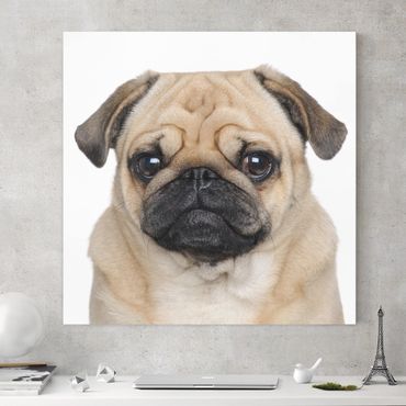 Impression sur toile - Pug Portrait