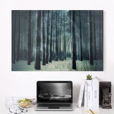 Impression sur toile - Mystical Winter Forest