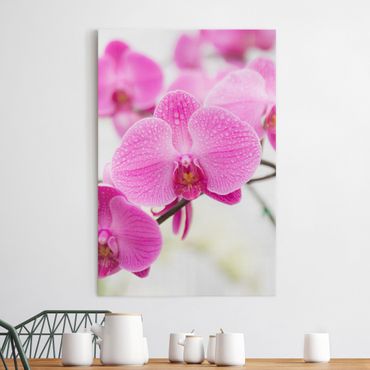 Impression sur toile - Close-Up Orchid