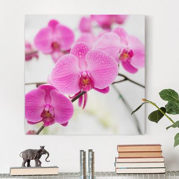 Impression sur toile - Close-Up Orchid
