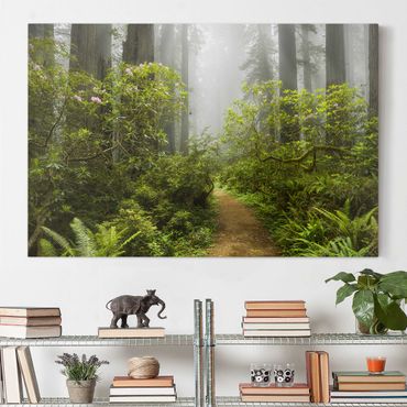 Impression sur toile - Misty Forest Path