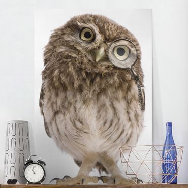 Impression sur toile - Curious Owl