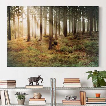 Impression sur toile - No.CA48 Morning forest