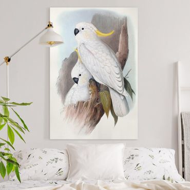 Impression sur toile - Pastel Parrots III