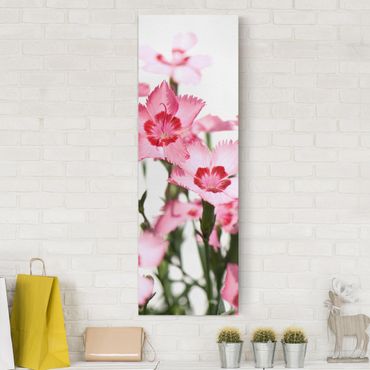 Impression sur toile - Pink Flowers