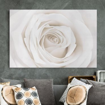 Impression sur toile - Pretty White Rose