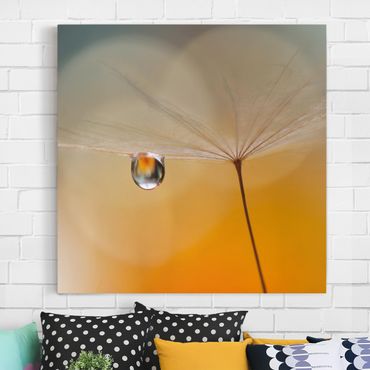 Impression sur toile - Dandelion In Orange