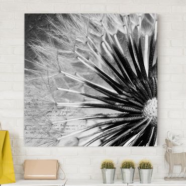 Impression sur toile - Dandelion Black & White
