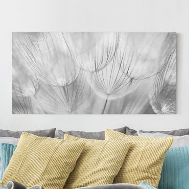 Impression sur toile - Dandelions macro shot in black and white