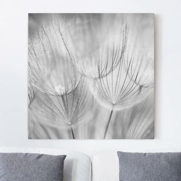 Impression sur toile - Dandelions Macro Shot In Black And White