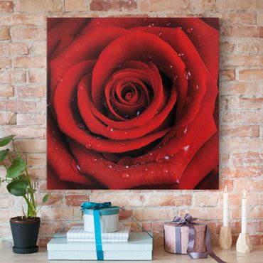 Impression sur toile - Red Rose With Water Drops