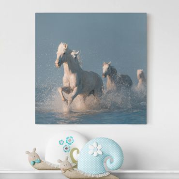 Impression sur toile - Herd Of White Horses