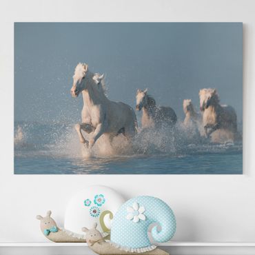 Impression sur toile - Herd Of White Horses