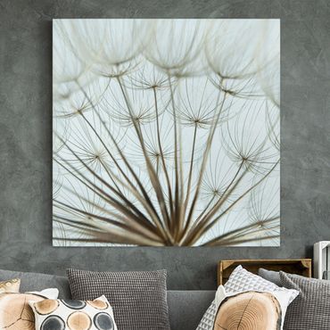 Impression sur toile - Beautiful dandelion macro shot