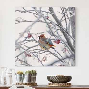 Impression sur toile - Waxwing on a Tree