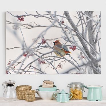 Impression sur toile - Waxwing on a Tree
