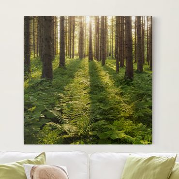 Impression sur toile - Sun Rays In Green Forest
