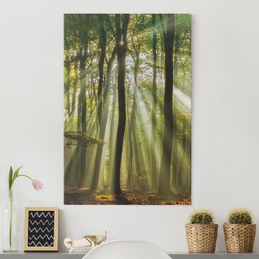 Impression sur toile - Sunny Day In The Forest