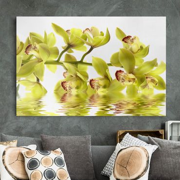 Impression sur toile - Splendid Orchid Waters