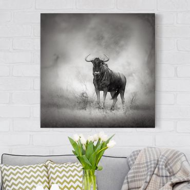 Impression sur toile - Staring Wildebeest