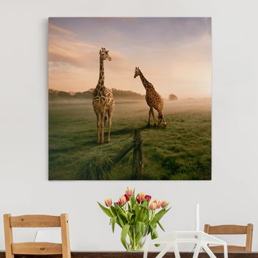 Impression sur toile - Surreal Giraffes