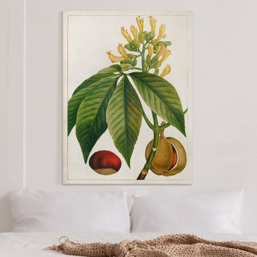 Impression sur toile - Tableau Leaf Flower Fruit VI