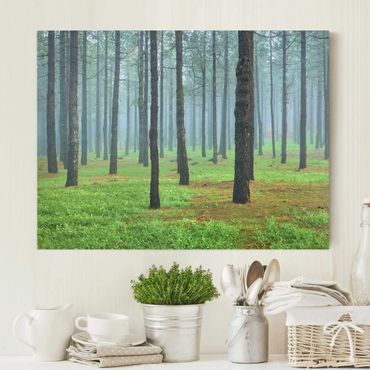 Impression sur toile - Deep Forest With Pine Trees On La Palma