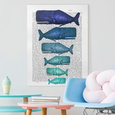 Impression sur toile - Animal Reading - Whale Family