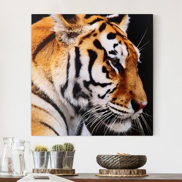 Impression sur toile - Tiger Beauty