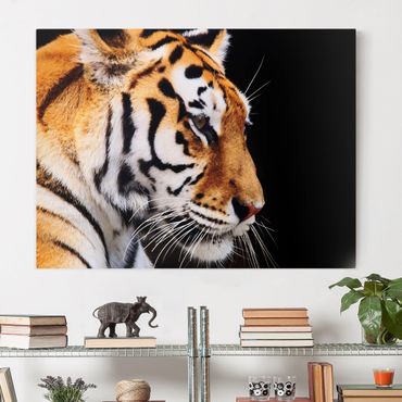 Impression sur toile - Tiger Beauty