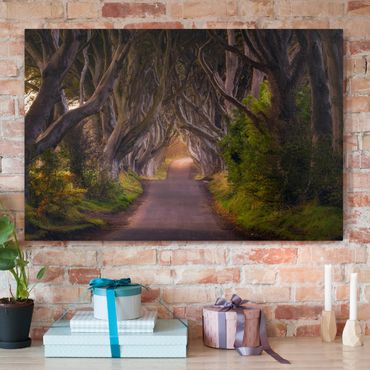 Impression sur toile - Tunnel Of Trees