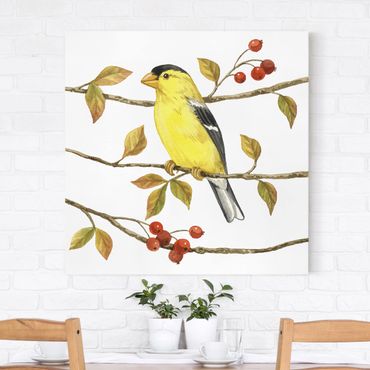Impression sur toile - Birds And Berries - American Goldfinch