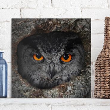 Impression sur toile - Watching Owl
