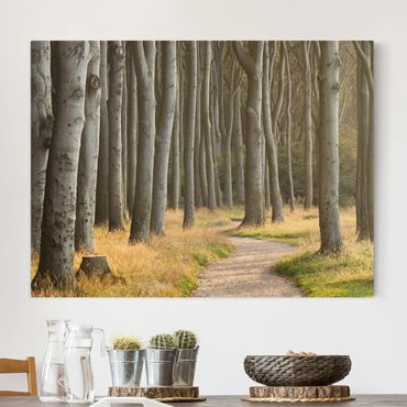 Impression sur toile - Forest Road In Northern Germany