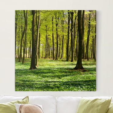 Impression sur toile - Forest Meadow