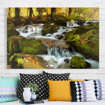 Impression sur toile - Waterfall Autumnal Forest