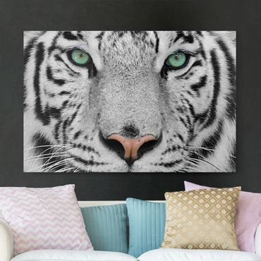 Impression sur toile - White Tiger