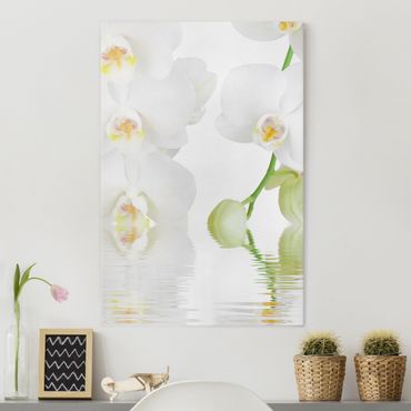 Impression sur toile - Spa Orchid - White Orchid