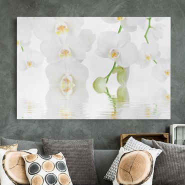 Impression sur toile - Spa Orchid - White Orchid