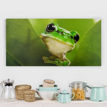Impression sur toile - Frog