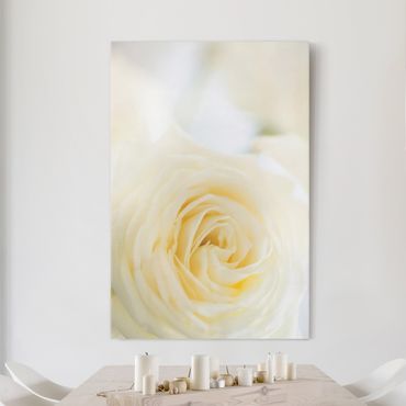 Impression sur toile - White Rose