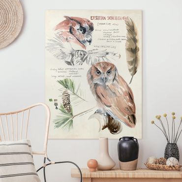 Impression sur toile - Wilderness Journal - Owl