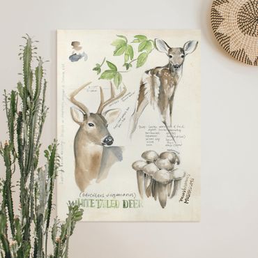 Impression sur toile - Wilderness Journal - Deer